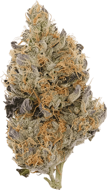 Tringle Mnts image 1