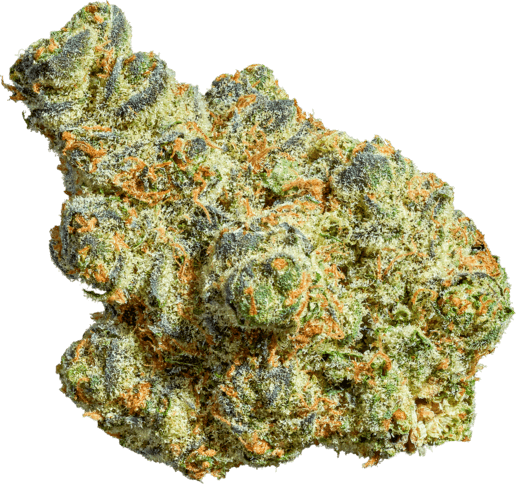 Appl Fritter image 1